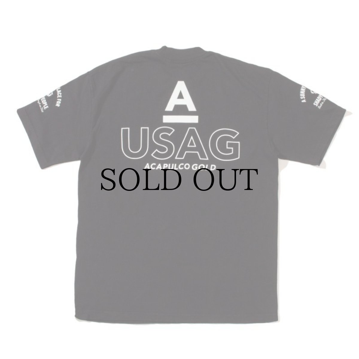 画像3: ACAPULCO GOLD / TEAM USAG TEE (3)