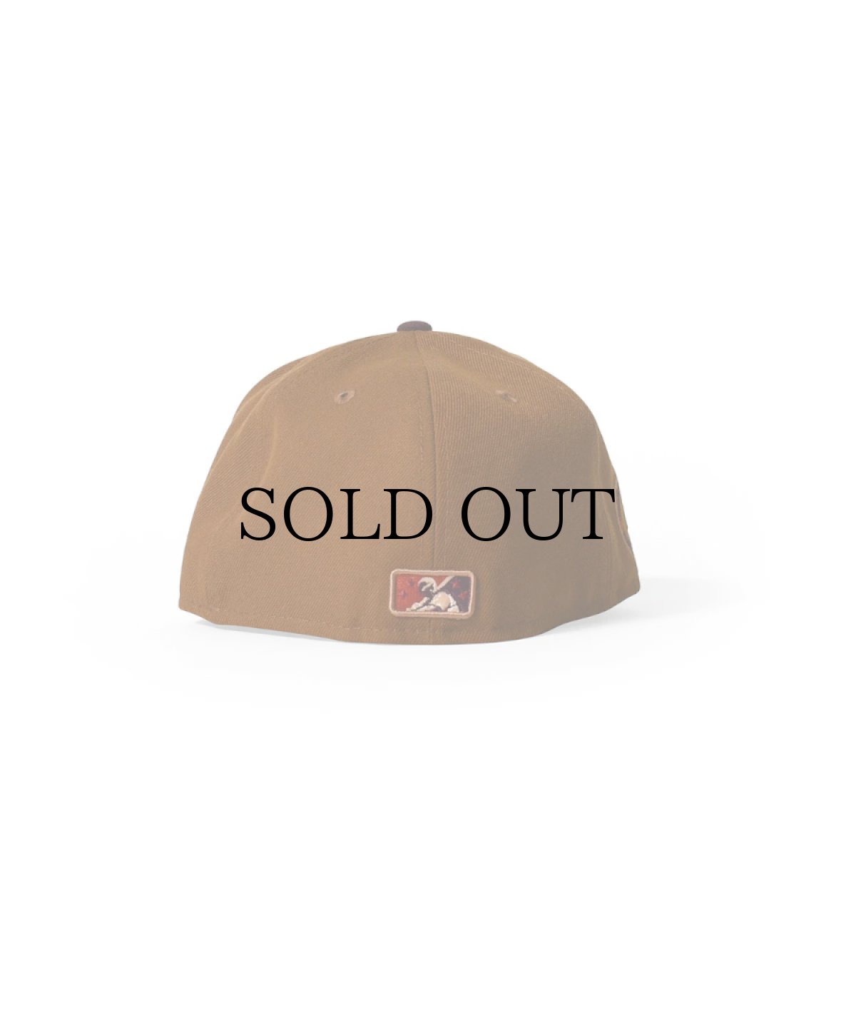 画像3: NEW ERA / 59FIFTY Orlando Rays Hometown Collection (3)