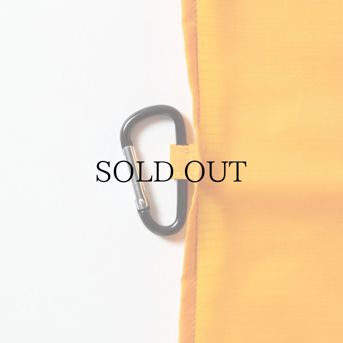 画像10: APPLEBUM(アップルバム) / Packable Leisure sheet (10)