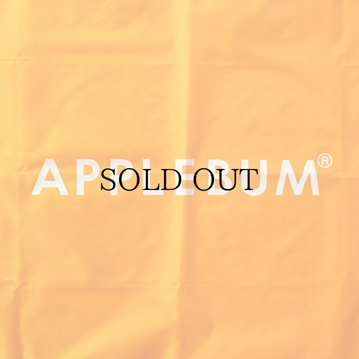 画像4: APPLEBUM(アップルバム) / Packable Leisure sheet (4)