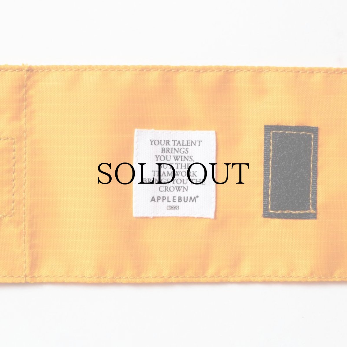 画像8: APPLEBUM(アップルバム) / Packable Leisure sheet (8)