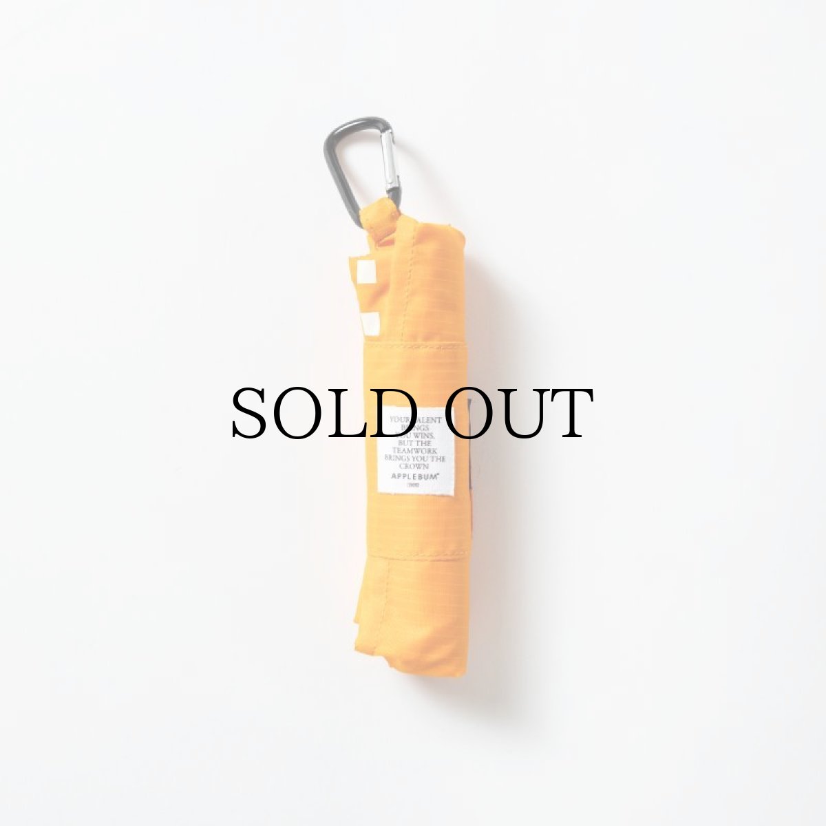 画像6: APPLEBUM(アップルバム) / Packable Leisure sheet (6)