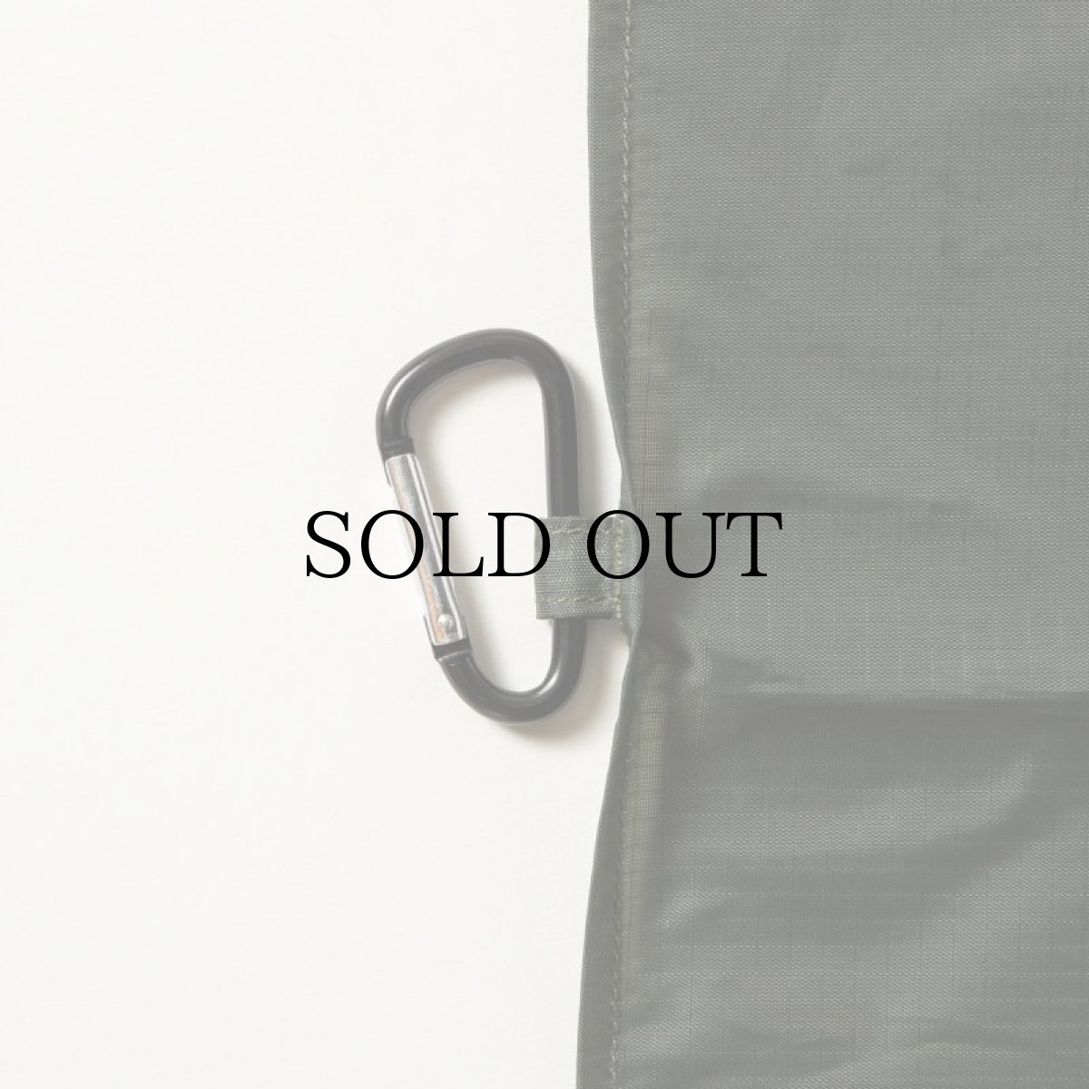 画像9: APPLEBUM(アップルバム) / Packable Leisure sheet (9)