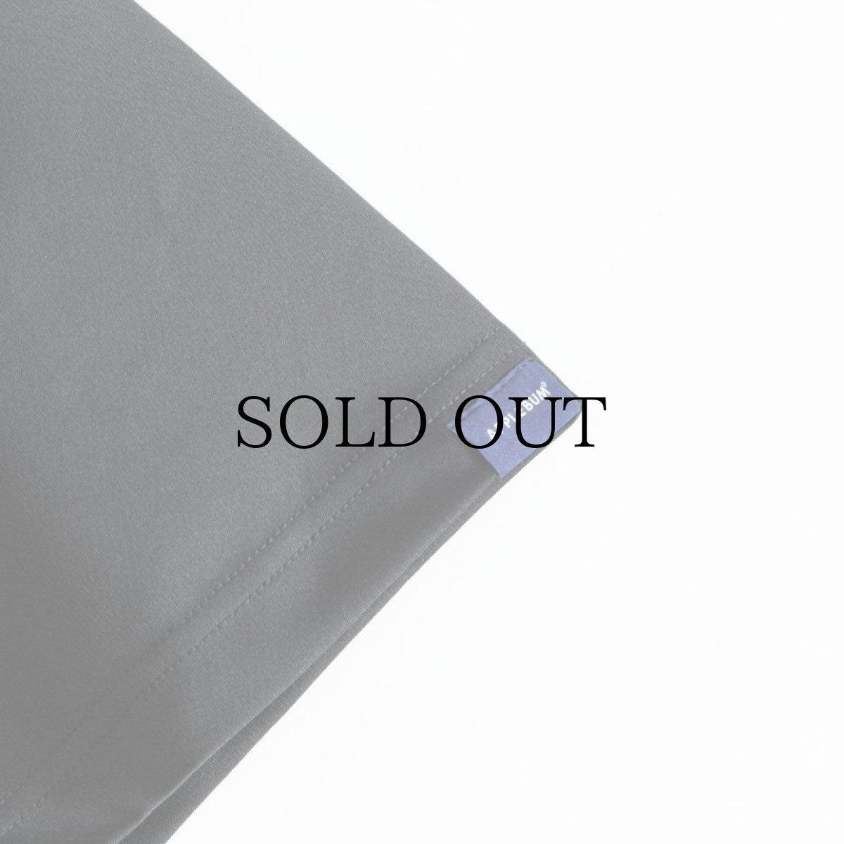 画像13: APPLEBUM(アップルバム) / Elite Performance Dry T-shirt (13)