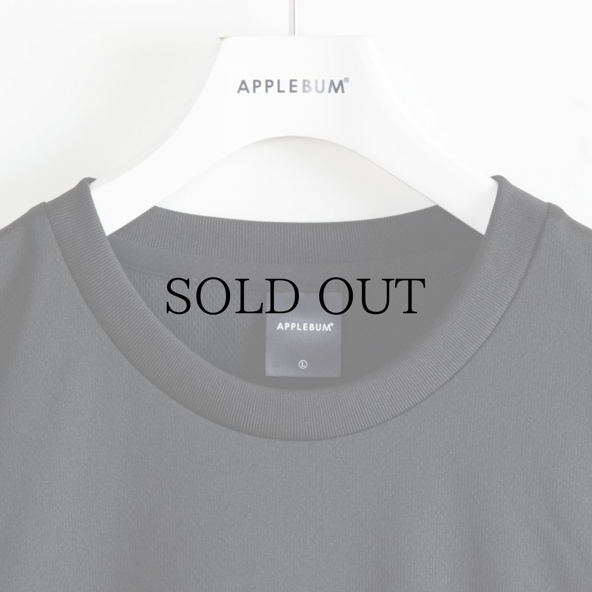 画像12: APPLEBUM(アップルバム) / Elite Performance Dry T-shirt (12)