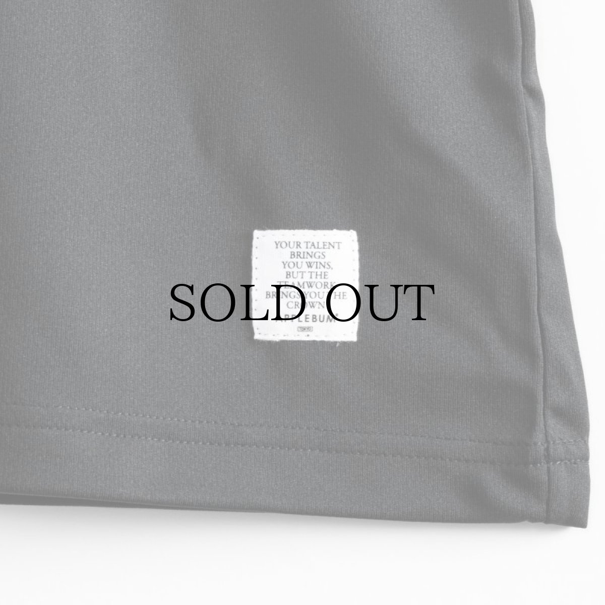 画像14: APPLEBUM(アップルバム) / Elite Performance Dry T-shirt (14)