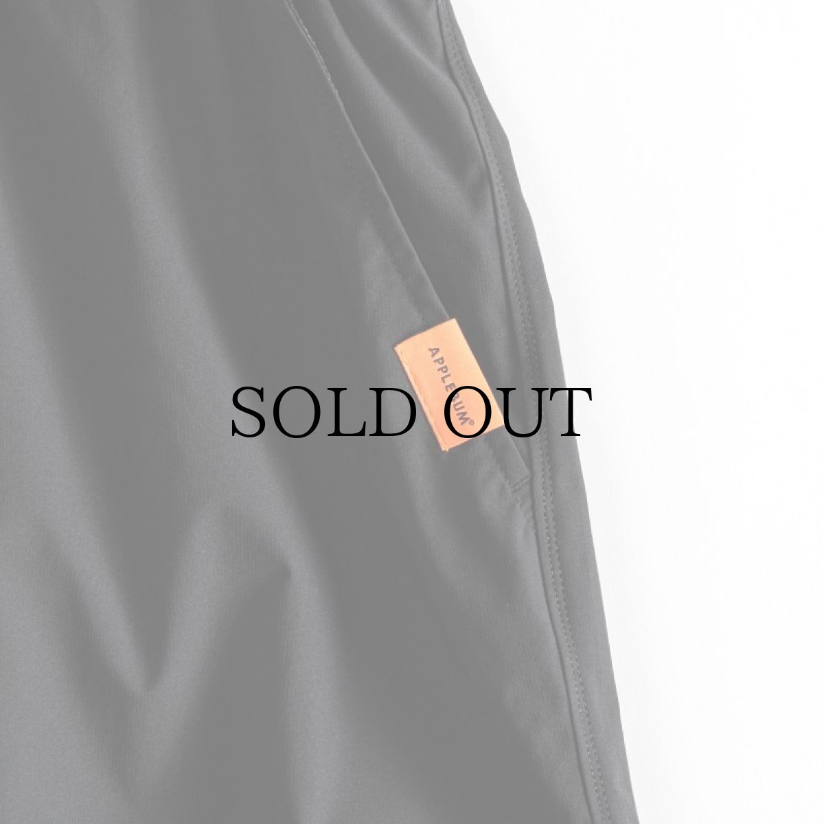 画像18: APPLEBUM(アップルバム) / Multi-Function Short Pants (18)