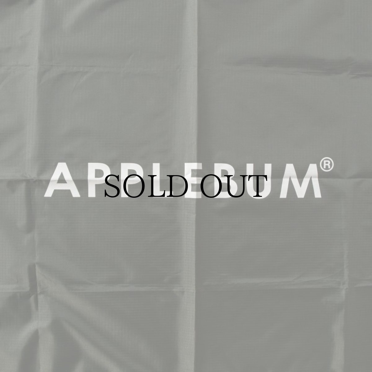 画像3: APPLEBUM(アップルバム) / Packable Leisure sheet (3)