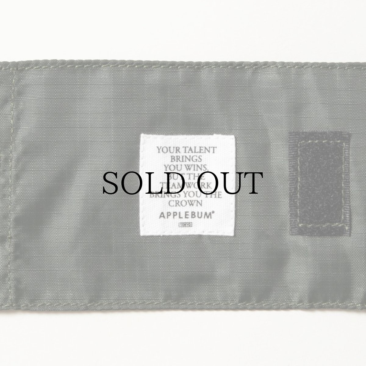 画像7: APPLEBUM(アップルバム) / Packable Leisure sheet (7)