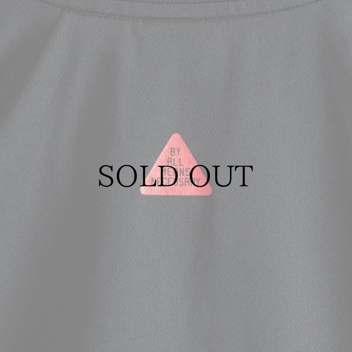 画像15: APPLEBUM(アップルバム) / Elite Performance Dry T-shirt (15)