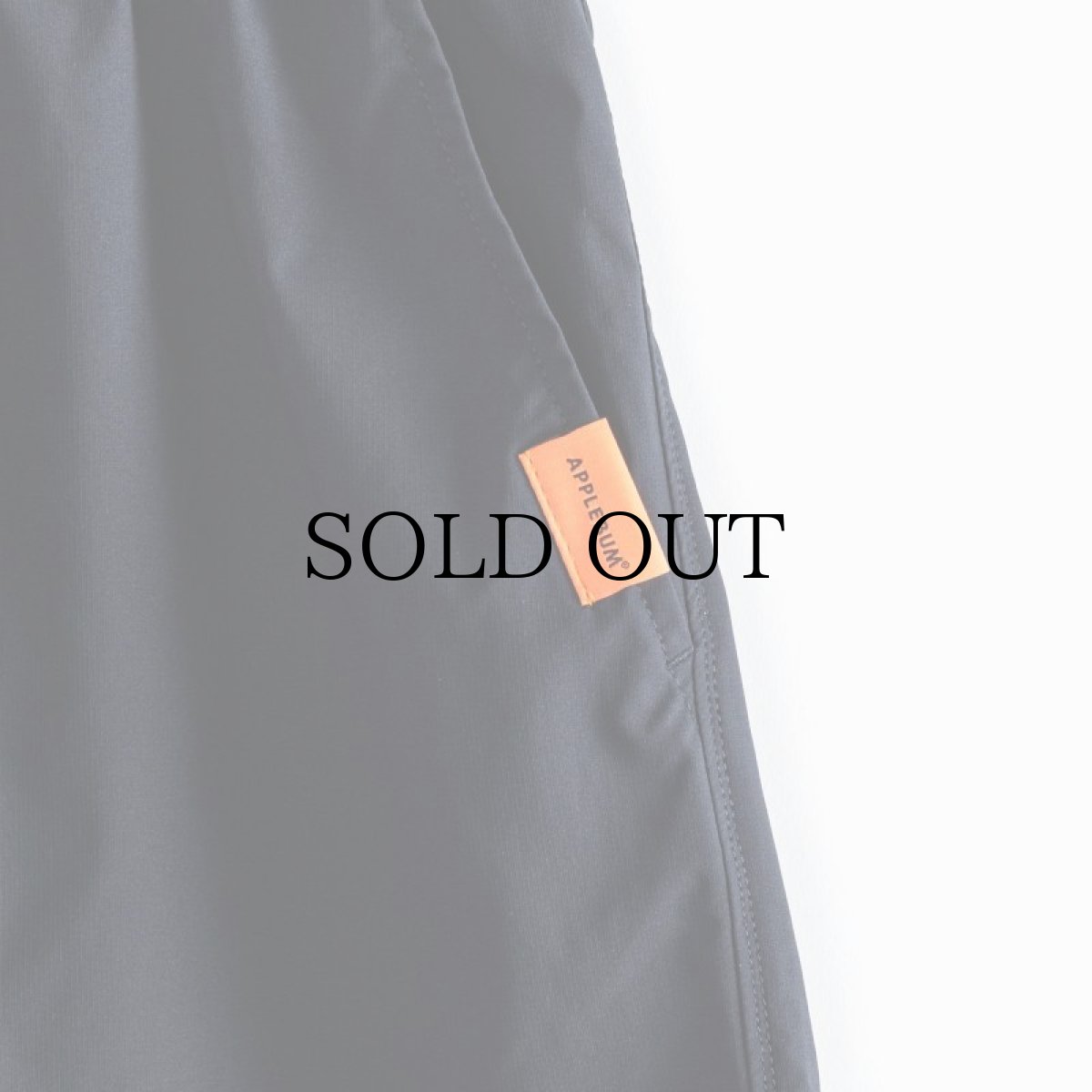 画像19: APPLEBUM(アップルバム) / Multi-Function Short Pants (19)