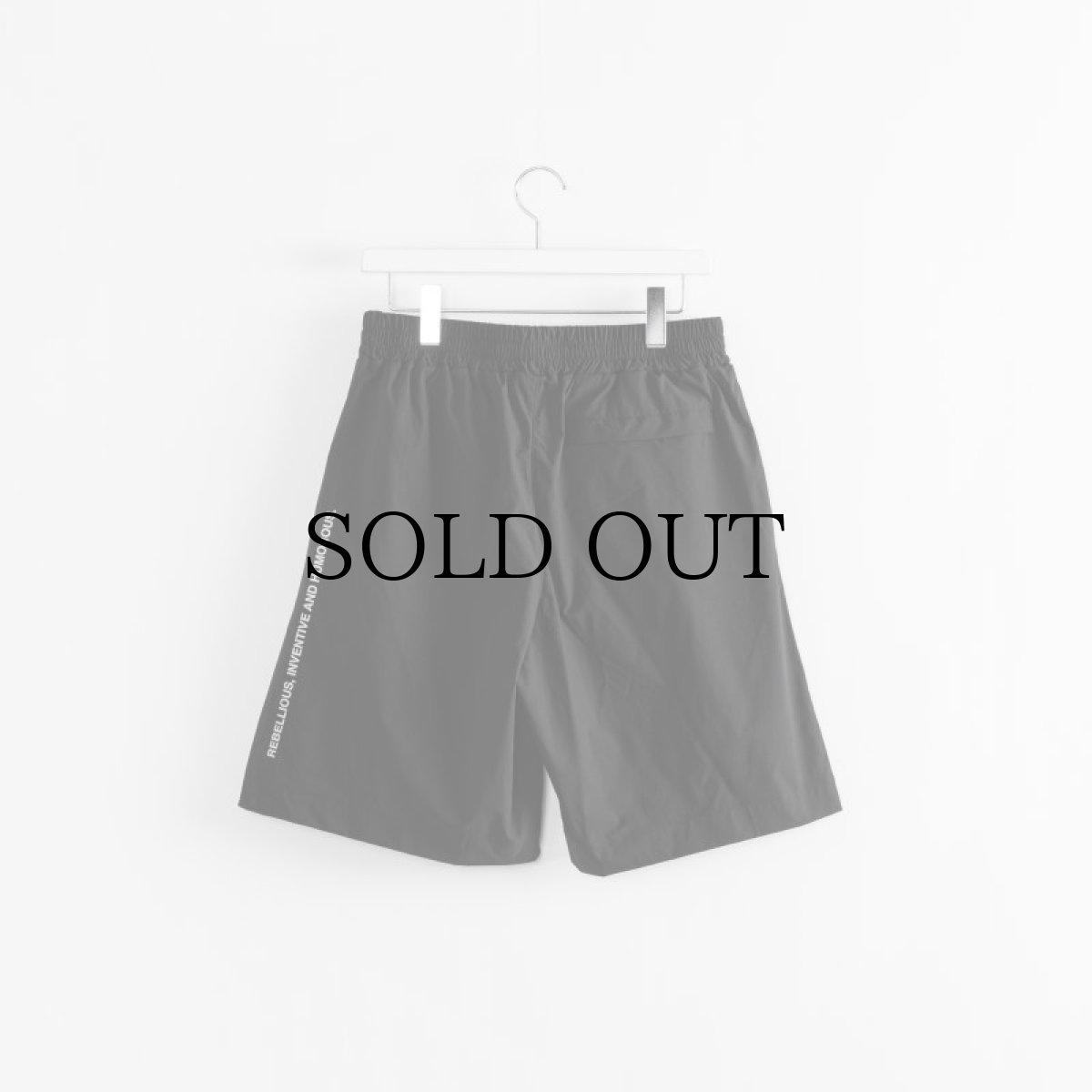 画像4: APPLEBUM(アップルバム) / Multi-Function Short Pants (4)