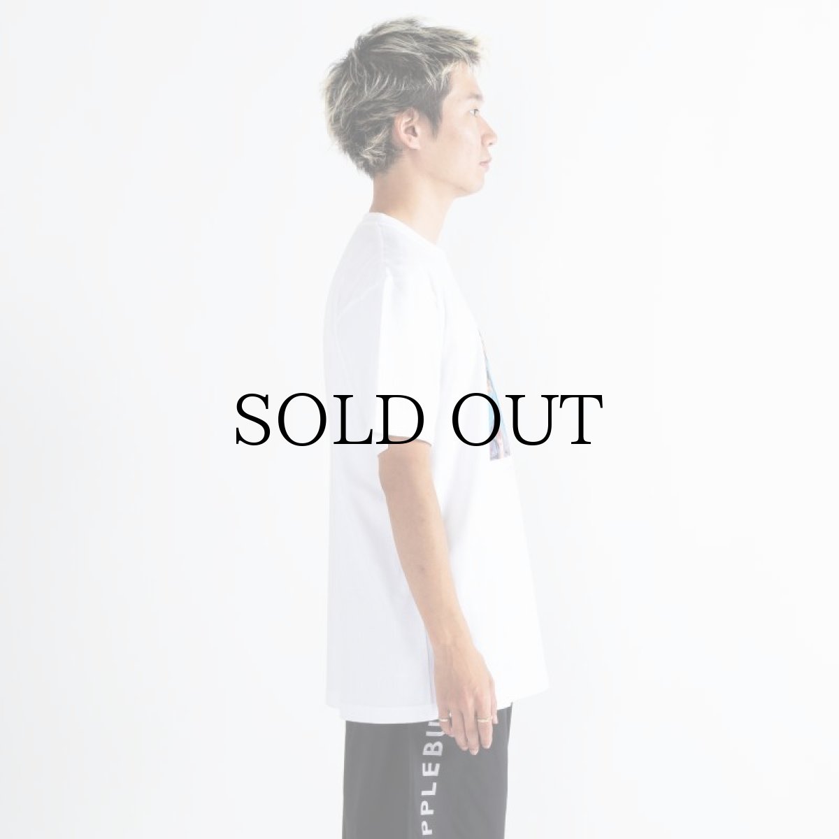 画像12: APPLEBUM(アップルバム) / Heroes : “Icon" T-shirt (12)