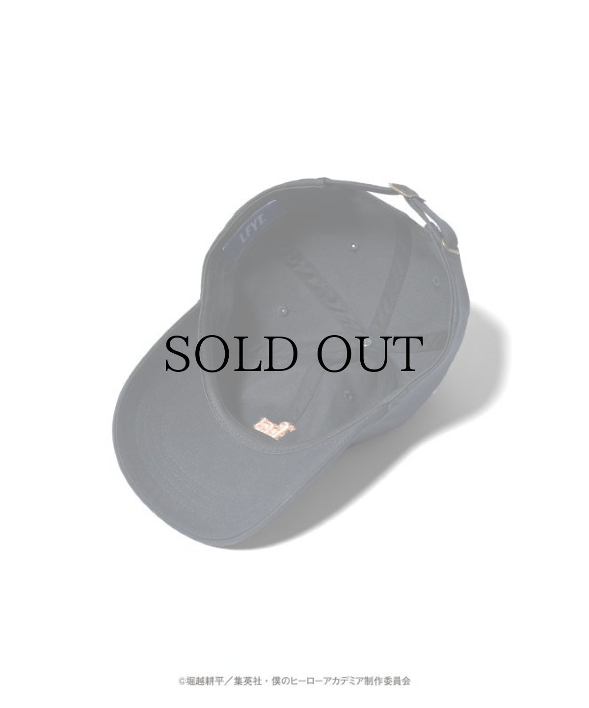 画像6: LFYT×僕のヒーローアカデミア エルエフワイティー LF LOGO BALL CAP エンデヴァー (6)