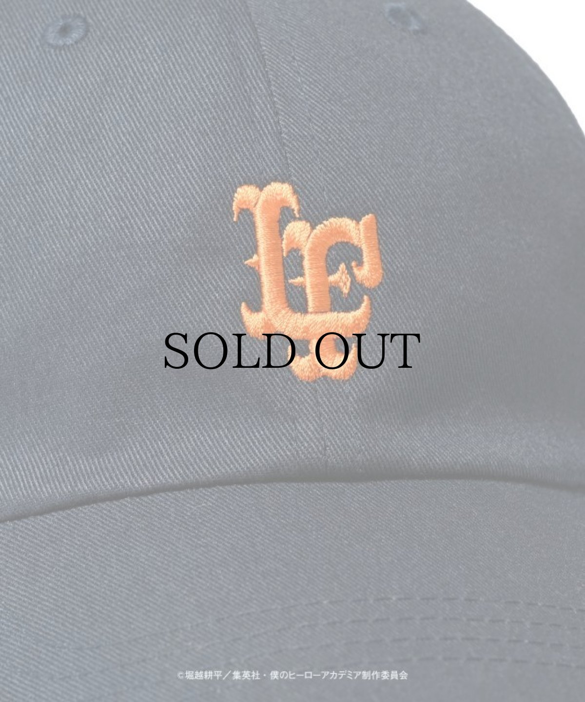 画像7: LFYT×僕のヒーローアカデミア エルエフワイティー LF LOGO BALL CAP エンデヴァー (7)