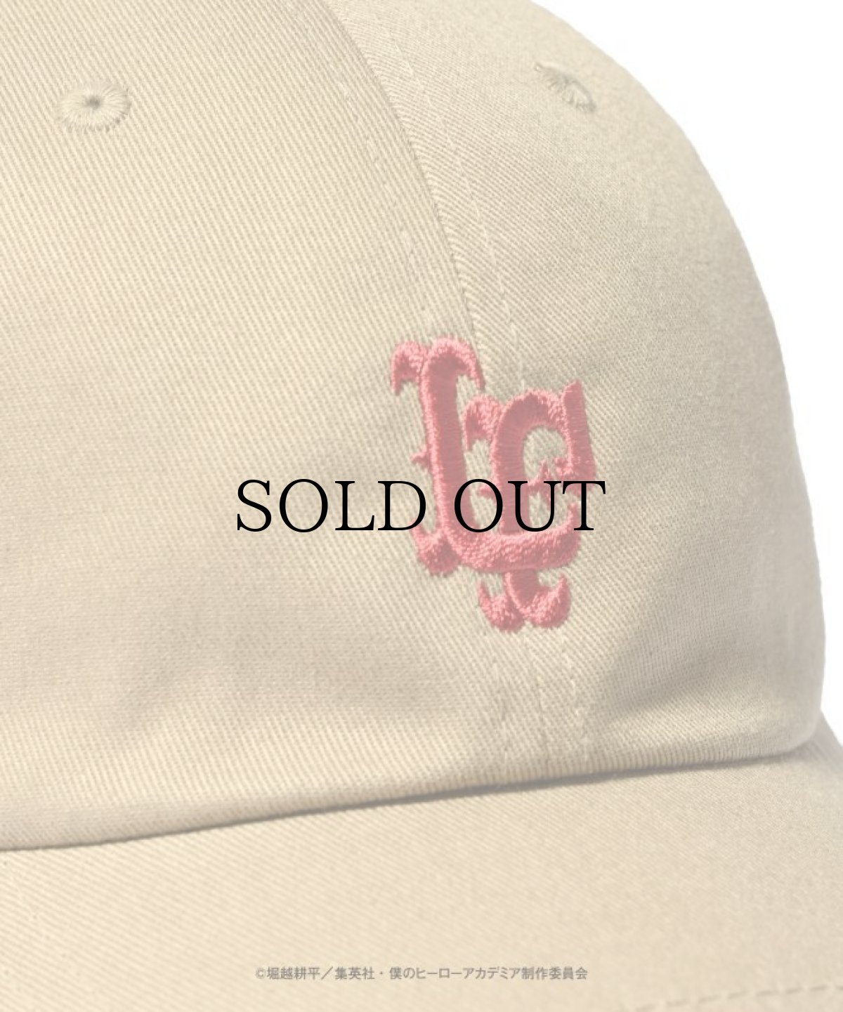 画像7: LFYT×僕のヒーローアカデミア エルエフワイティー LF LOGO BALL CAP ホークス (7)