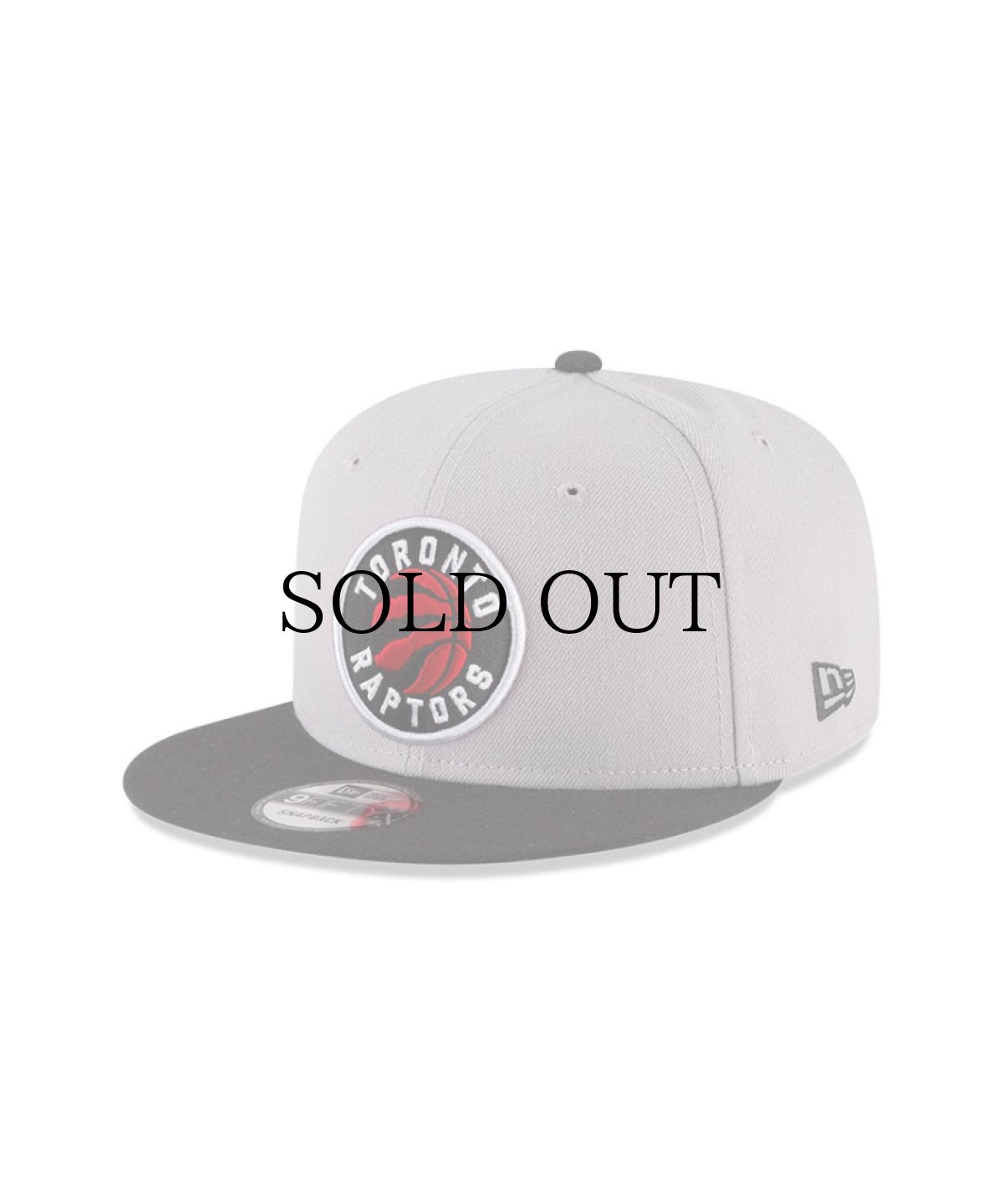 画像1: NEW ERA / 9FIFTY トロント・ラプターズ (1)