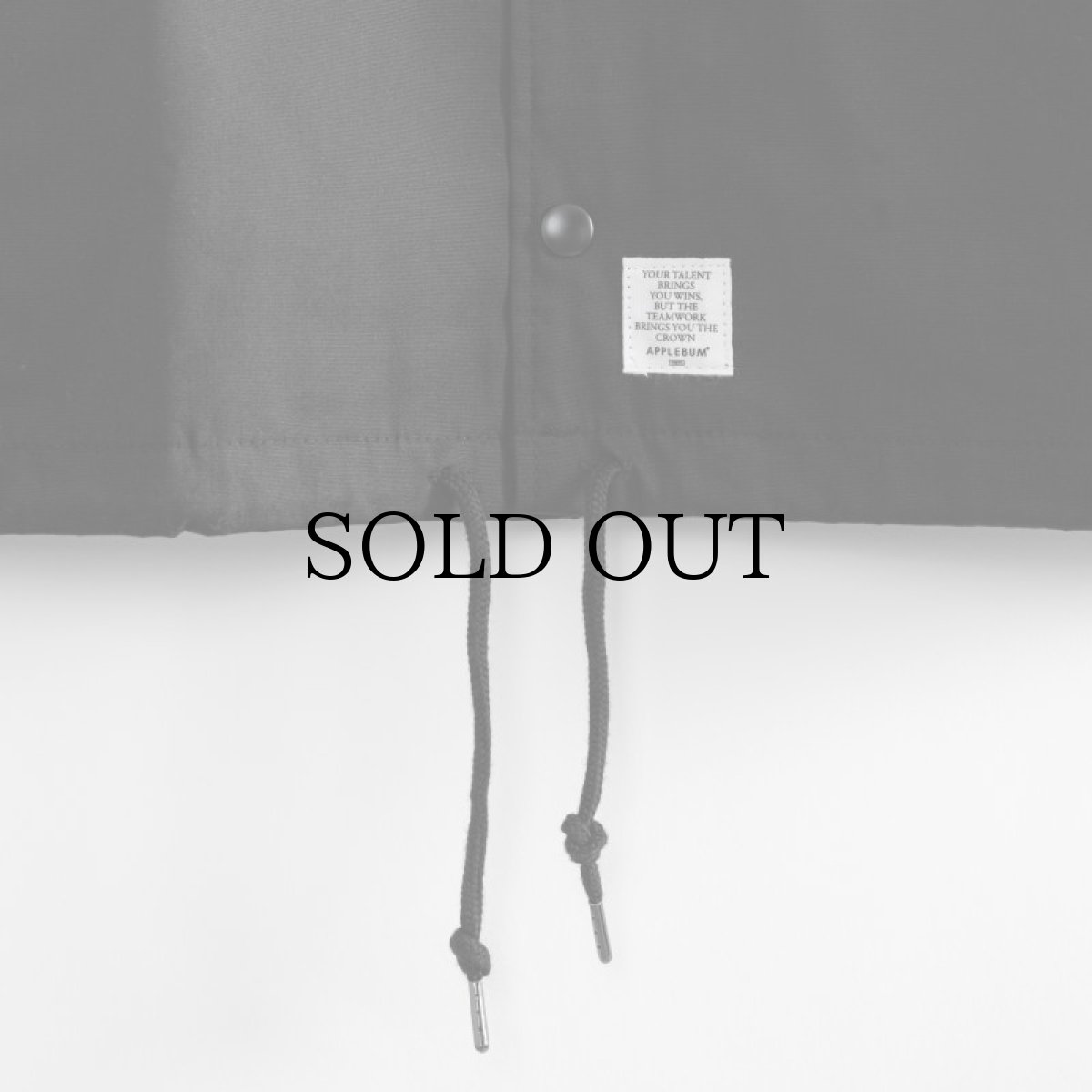 画像8: APPLEBUM(アップルバム) / "The Chronic" Coach Jacket (8)