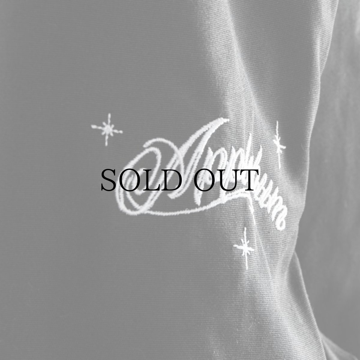 画像5: APPLEBUM(アップルバム) / "The Chronic" Coach Jacket (5)