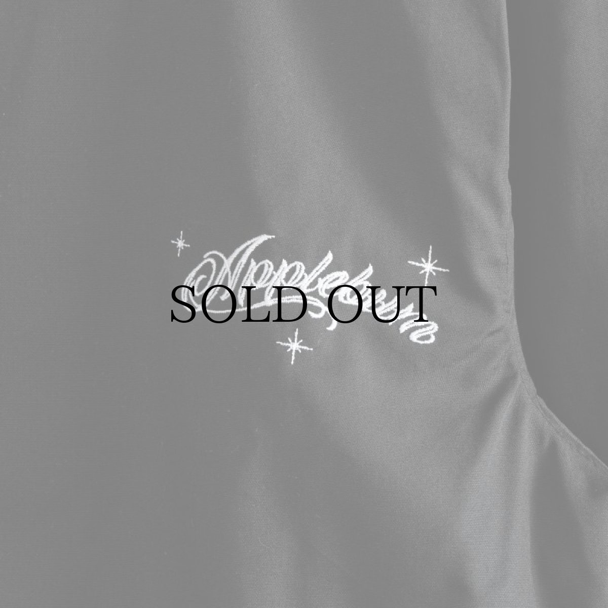 画像4: APPLEBUM(アップルバム) / "The Chronic" Coach Jacket (4)