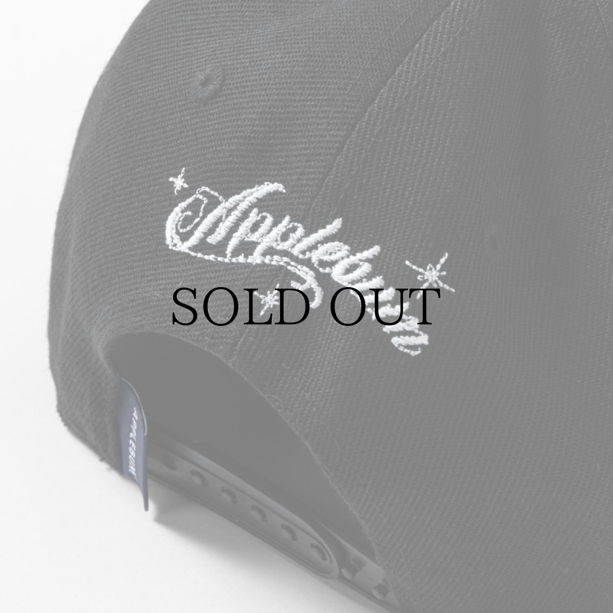 画像14: APPLEBUM(アップルバム) / "The Chronic" BB Cap (14)