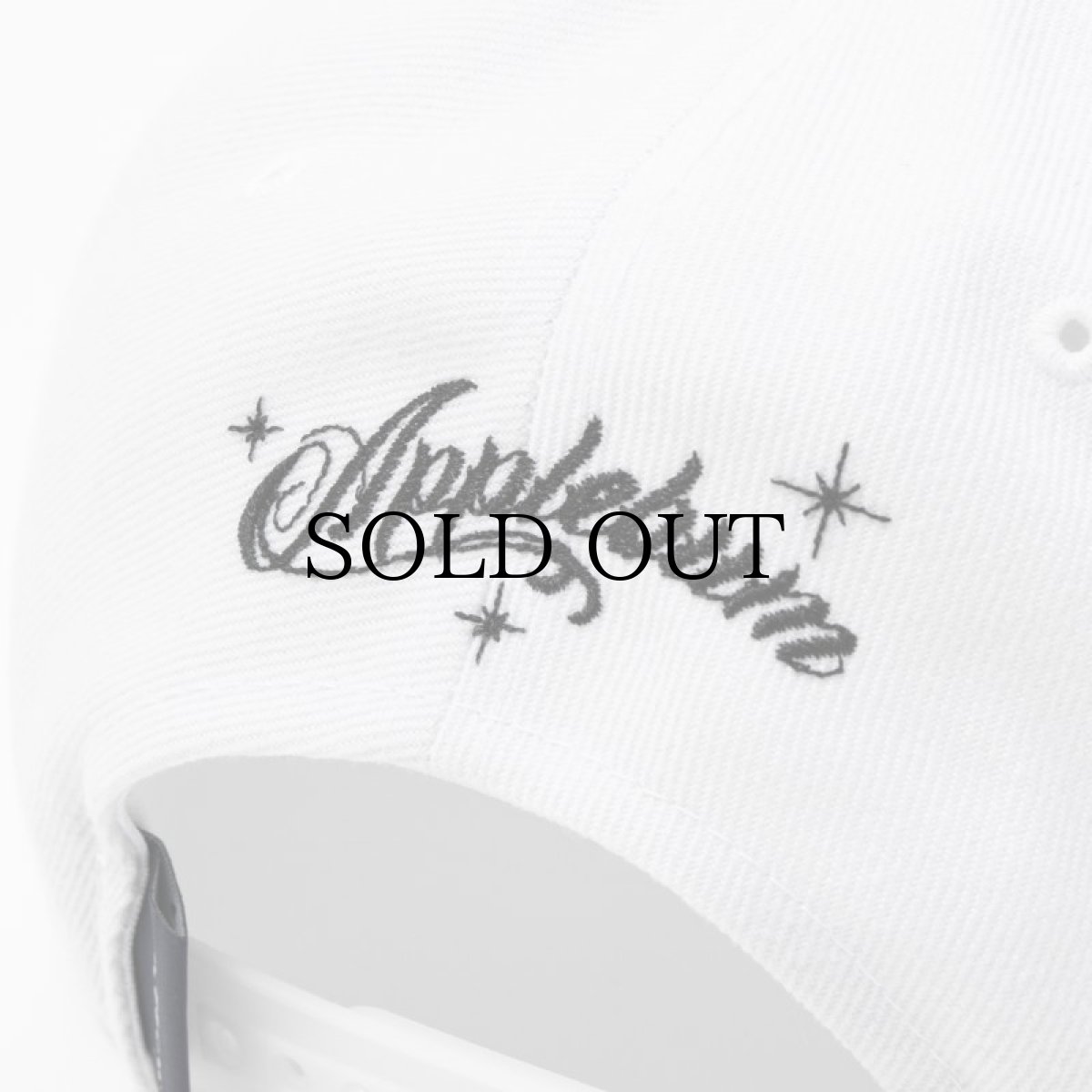 画像13: APPLEBUM(アップルバム) / "The Chronic" BB Cap (13)