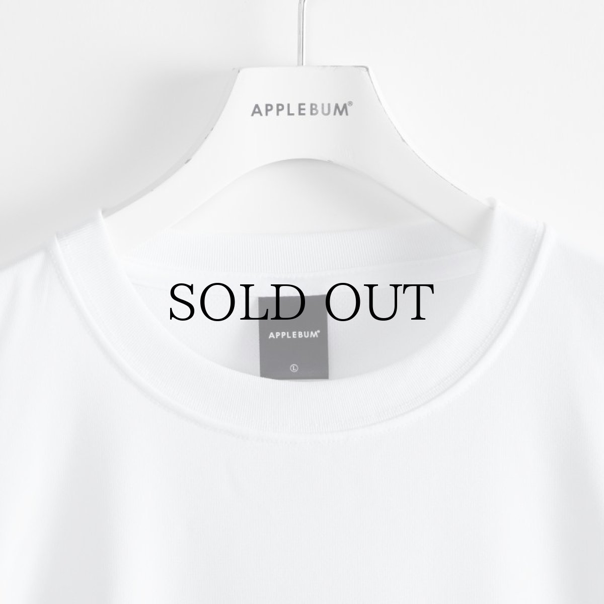 画像3: APPLEBUM(アップルバム) / Elite Performance Dry T-shirt (SAME PAGE) (3)