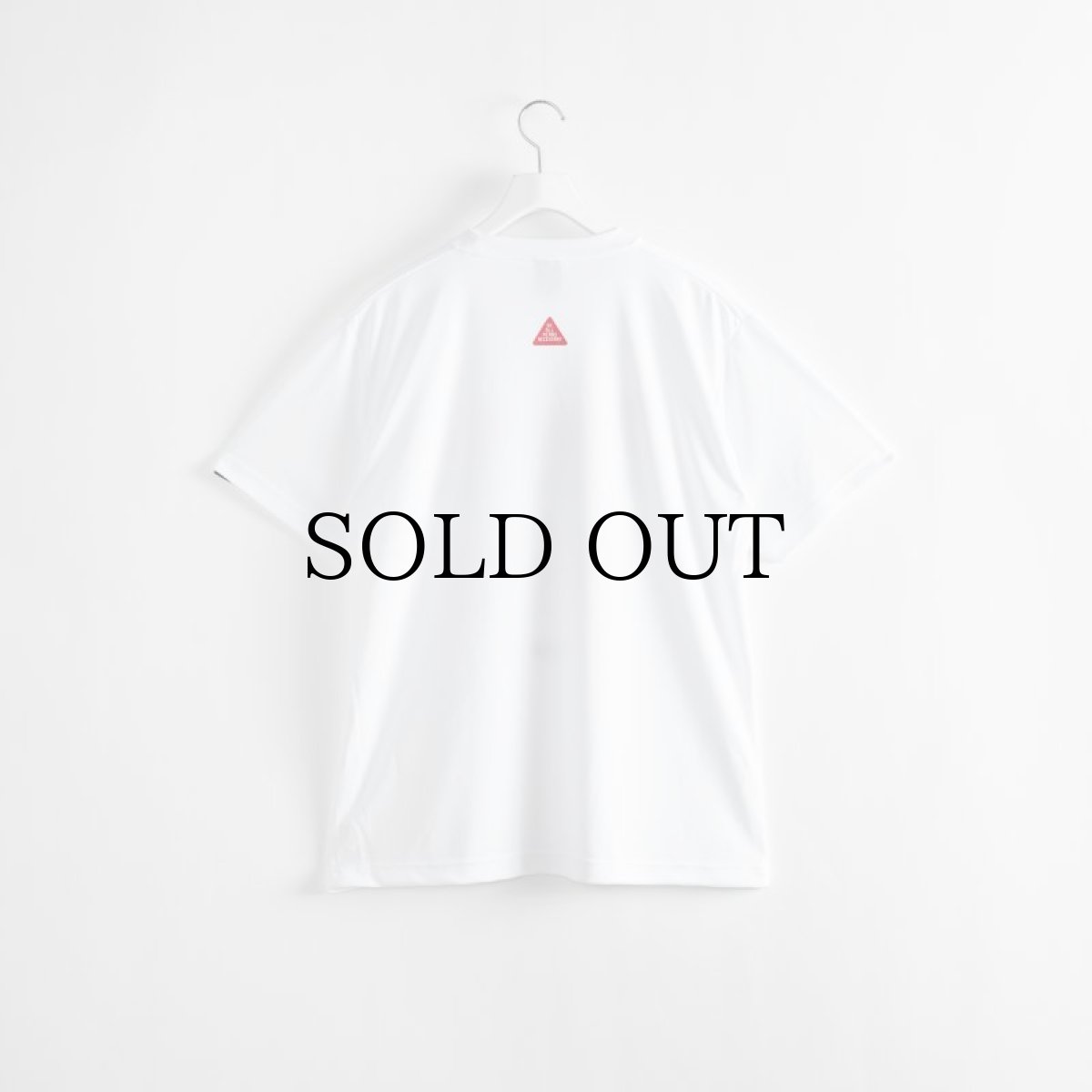 画像2: APPLEBUM(アップルバム) / Elite Performance Dry T-shirt (SAME PAGE) (2)