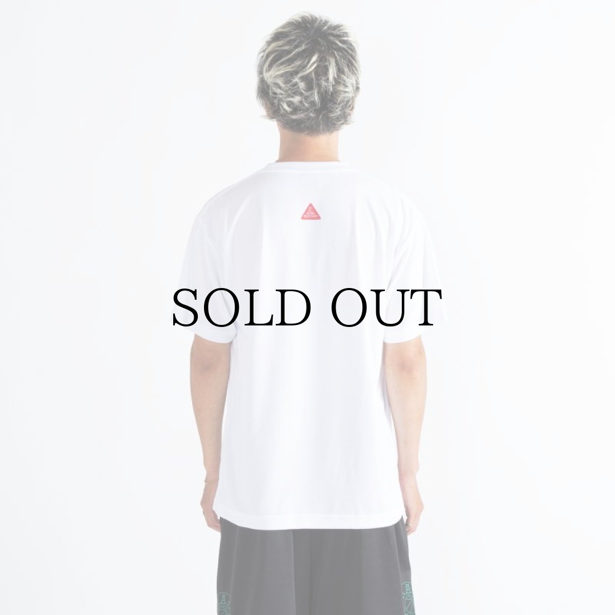 画像10: APPLEBUM(アップルバム) / Elite Performance Dry T-shirt (SAME PAGE) (10)