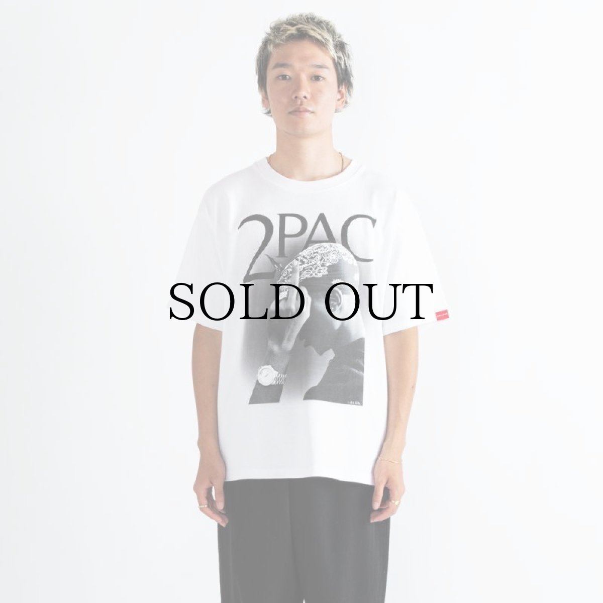 画像15: APPLEBUM(アップルバム) / "Monochrome" T-shirt (15)