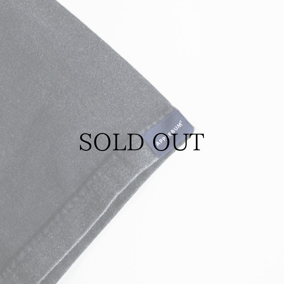 画像6: APPLEBUM(アップルバム) / Resurrected Vintage T-shirt (ALL EYEZ ON ME) (6)