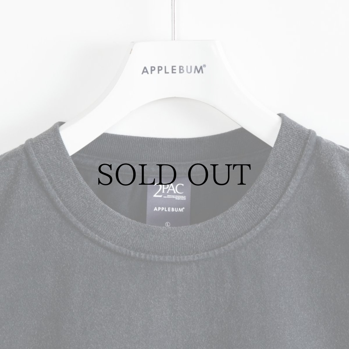 画像5: APPLEBUM(アップルバム) / Resurrected Vintage T-shirt (Smoke) (5)