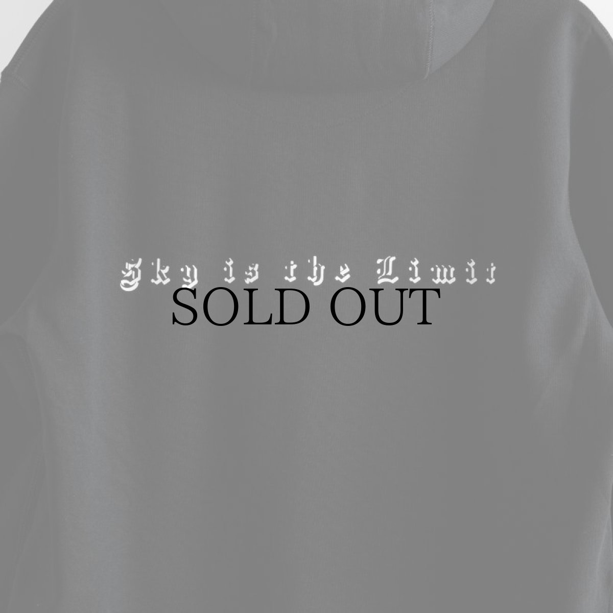 画像7: APPLEBUM(アップルバム) / Elite Performance Parka (7)