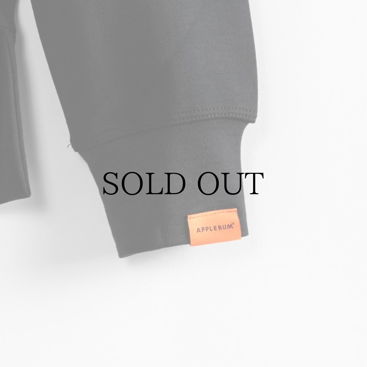 画像5: APPLEBUM(アップルバム) / Elite Performance Parka (5)