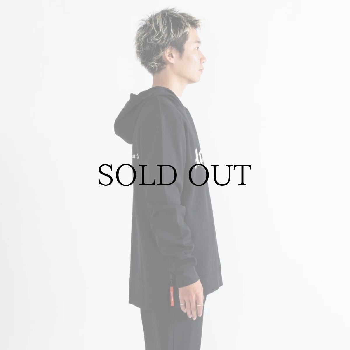 画像9: APPLEBUM(アップルバム) / Elite Performance Parka (9)