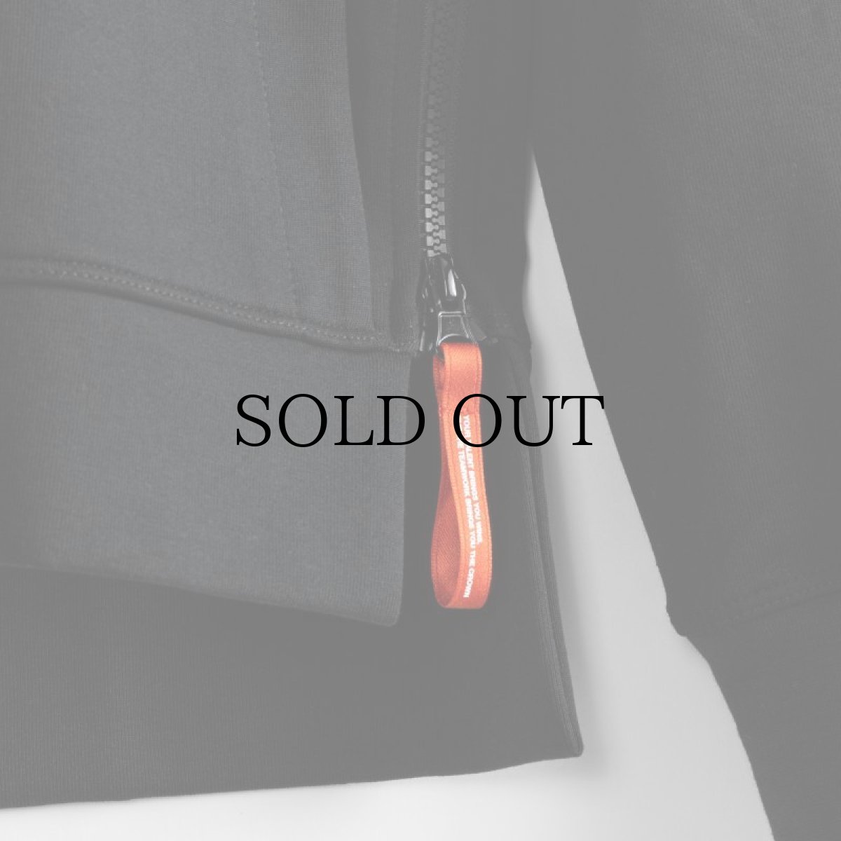 画像6: APPLEBUM(アップルバム) / Elite Performance Parka (6)