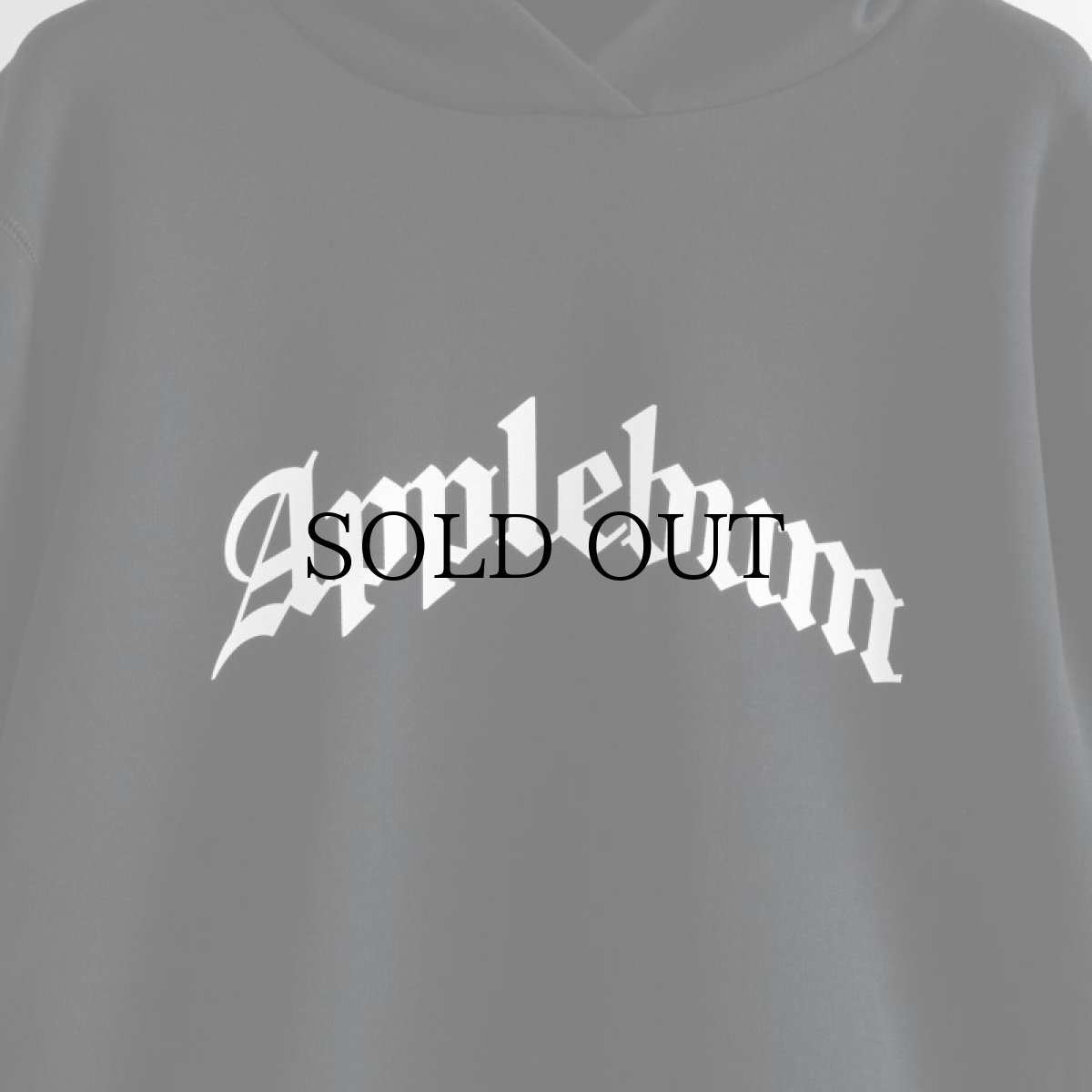 画像3: APPLEBUM(アップルバム) / Elite Performance Parka (3)