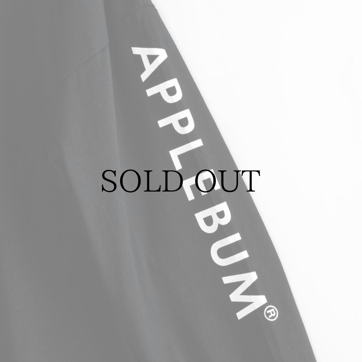 画像9: APPLEBUM(アップルバム) / "Sh*t's Real" Big L/S T-shirt (9)