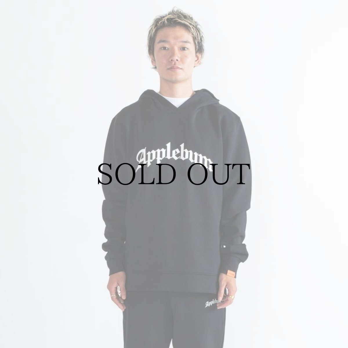 画像8: APPLEBUM(アップルバム) / Elite Performance Parka (8)