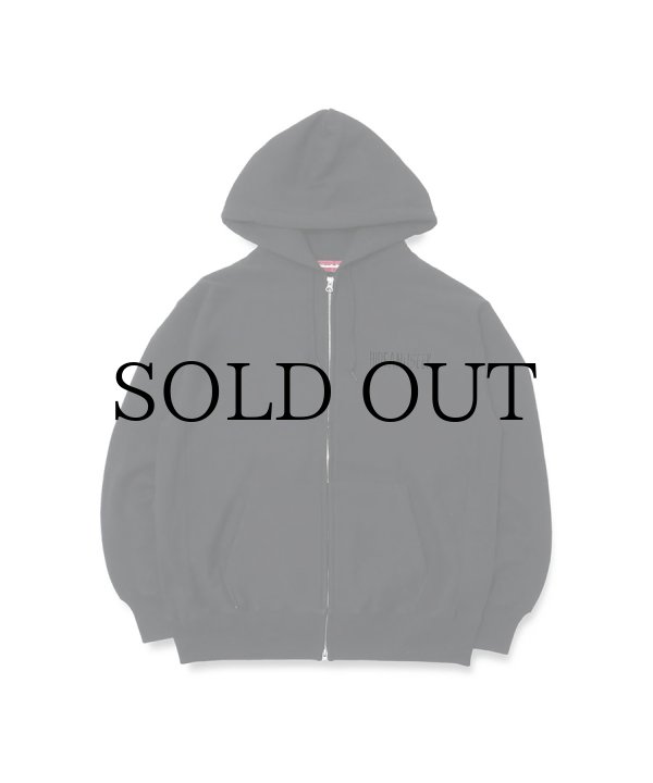 HIDEANDSEEK(ハイドアンドシーク) ジップパーカー College Zip Hooded