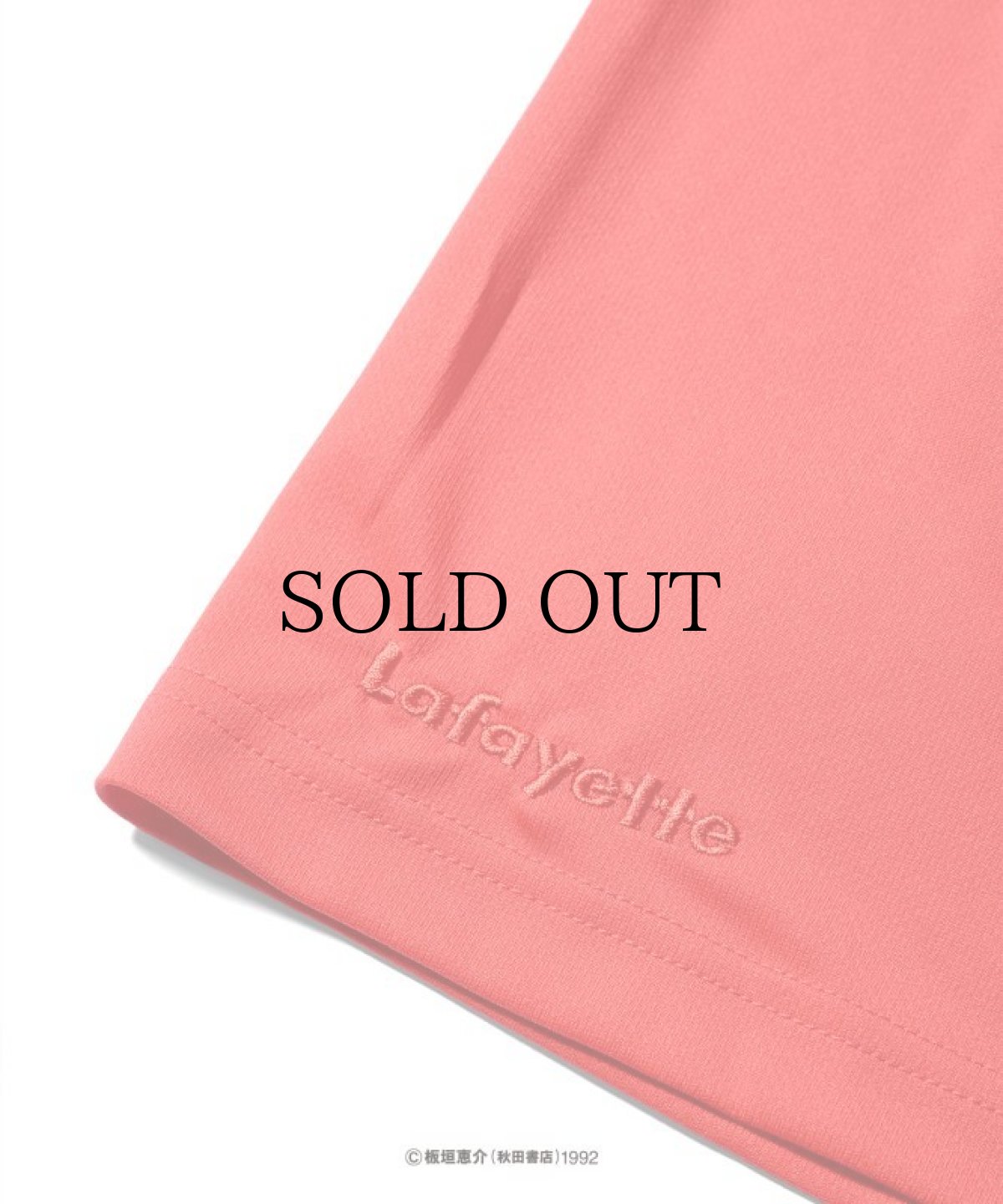 画像8: LFYT(ラファイエット) / 『LFYT × グラップラー刃牙』 MESH SHORTS (8)