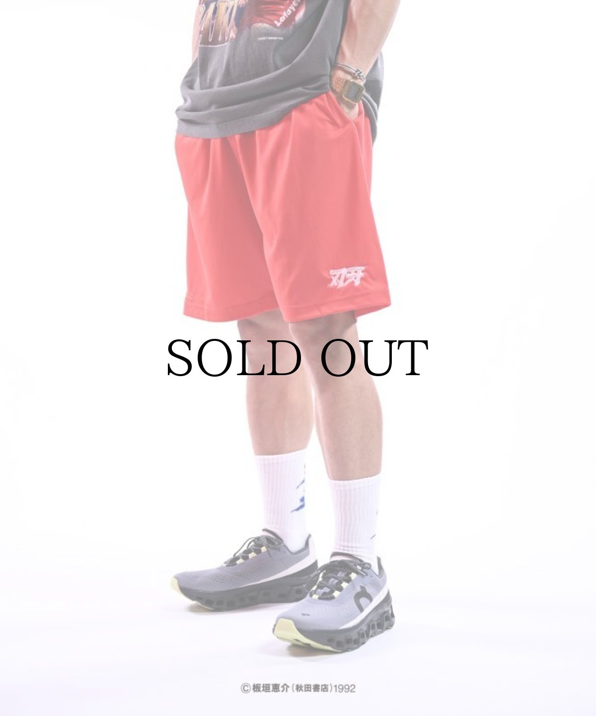 画像12: LFYT(ラファイエット) / 『LFYT × グラップラー刃牙』 MESH SHORTS (12)