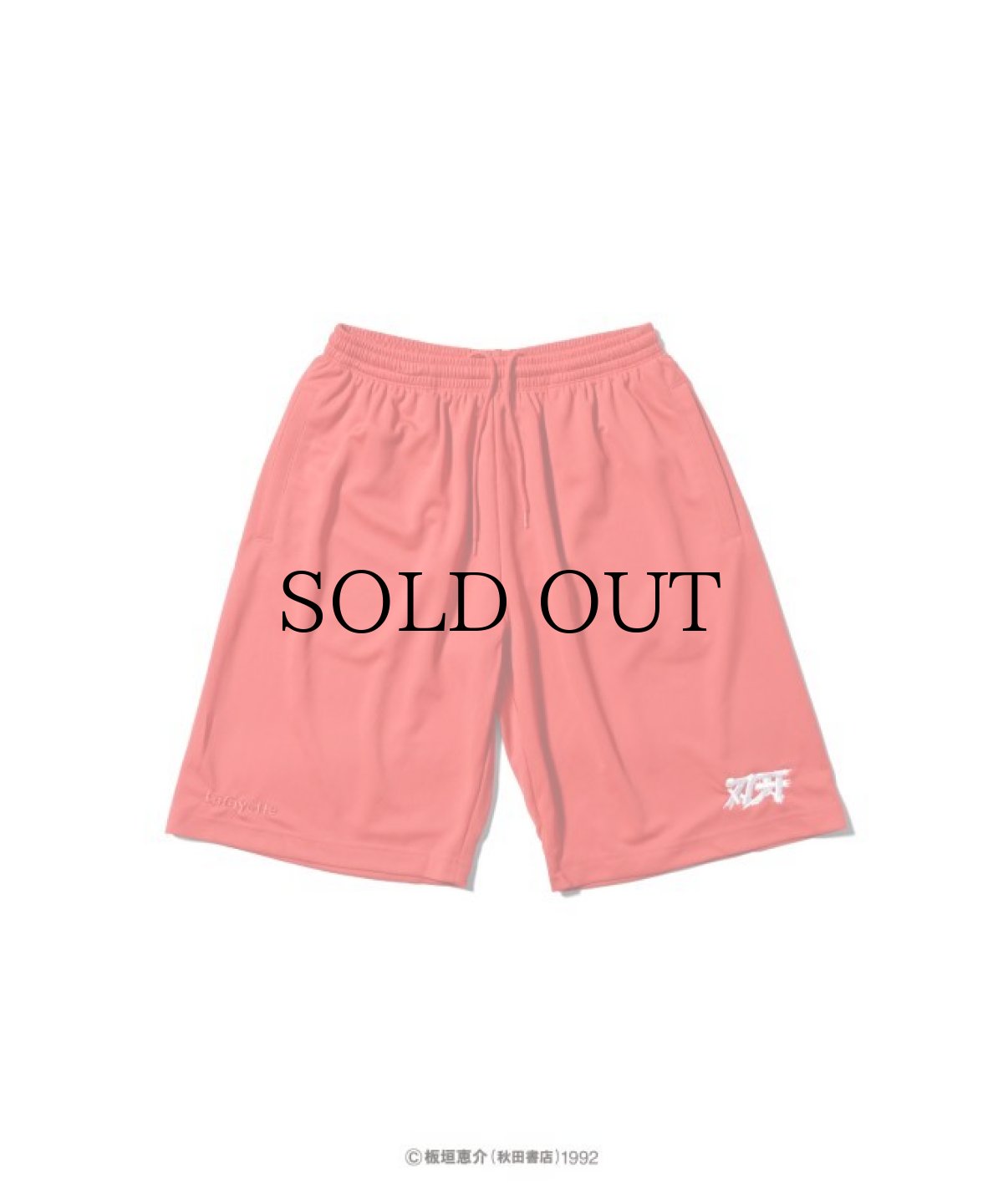 画像2: LFYT(ラファイエット) / 『LFYT × グラップラー刃牙』 MESH SHORTS (2)