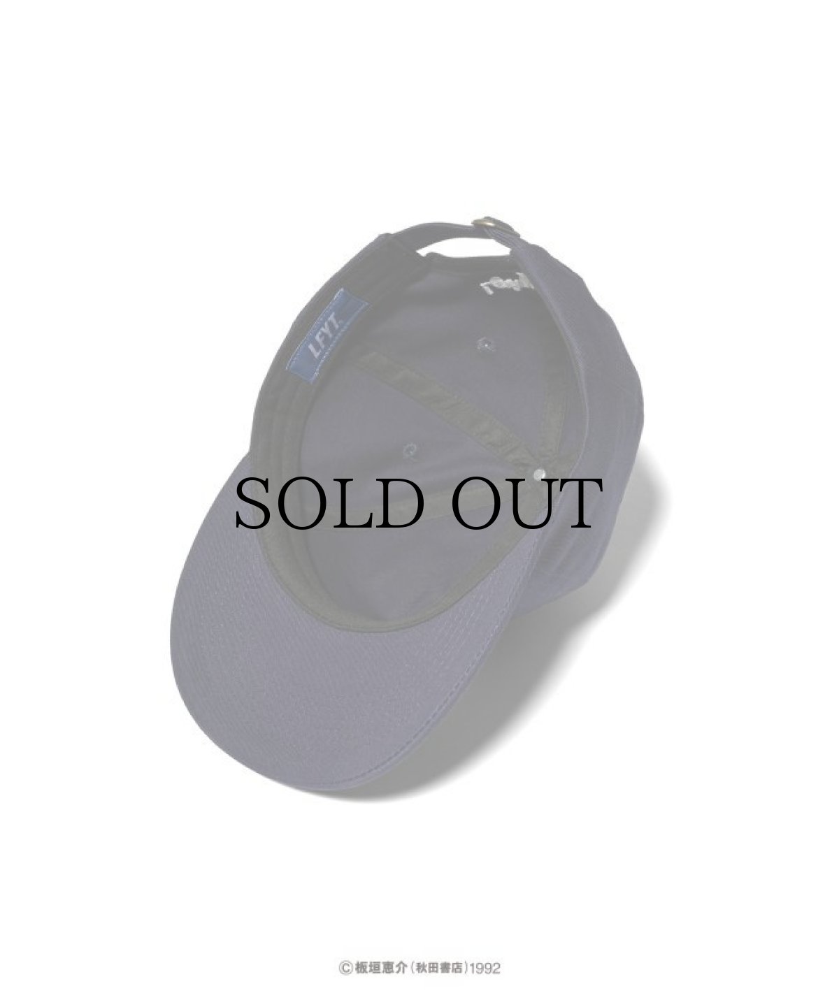 画像12: LFYT(ラファイエット) / 『LFYT × グラップラー刃牙』 LOGO DAD HAT (12)