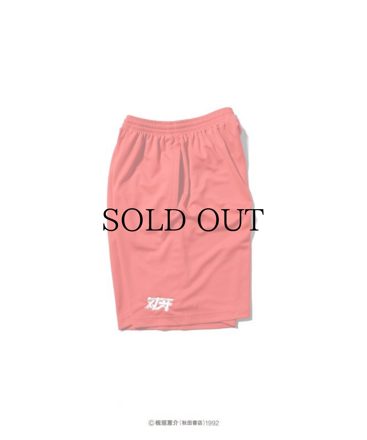 画像4: LFYT(ラファイエット) / 『LFYT × グラップラー刃牙』 MESH SHORTS (4)