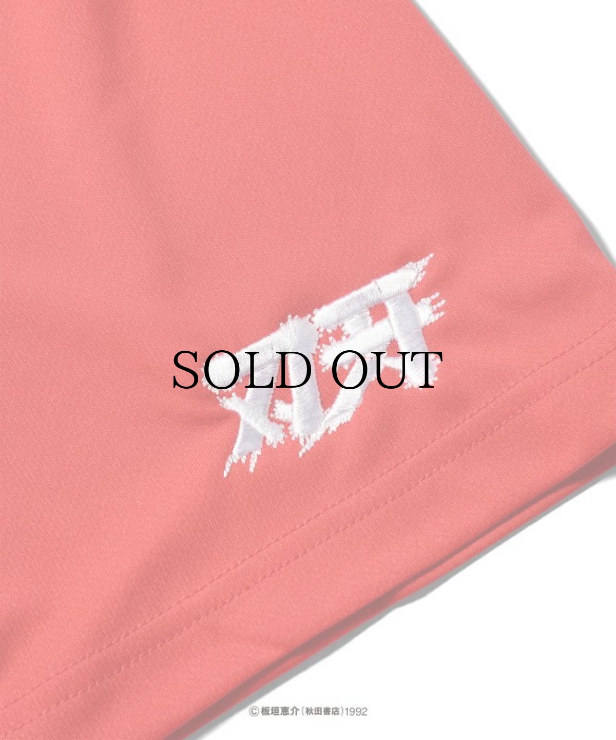 画像6: LFYT(ラファイエット) / 『LFYT × グラップラー刃牙』 MESH SHORTS (6)