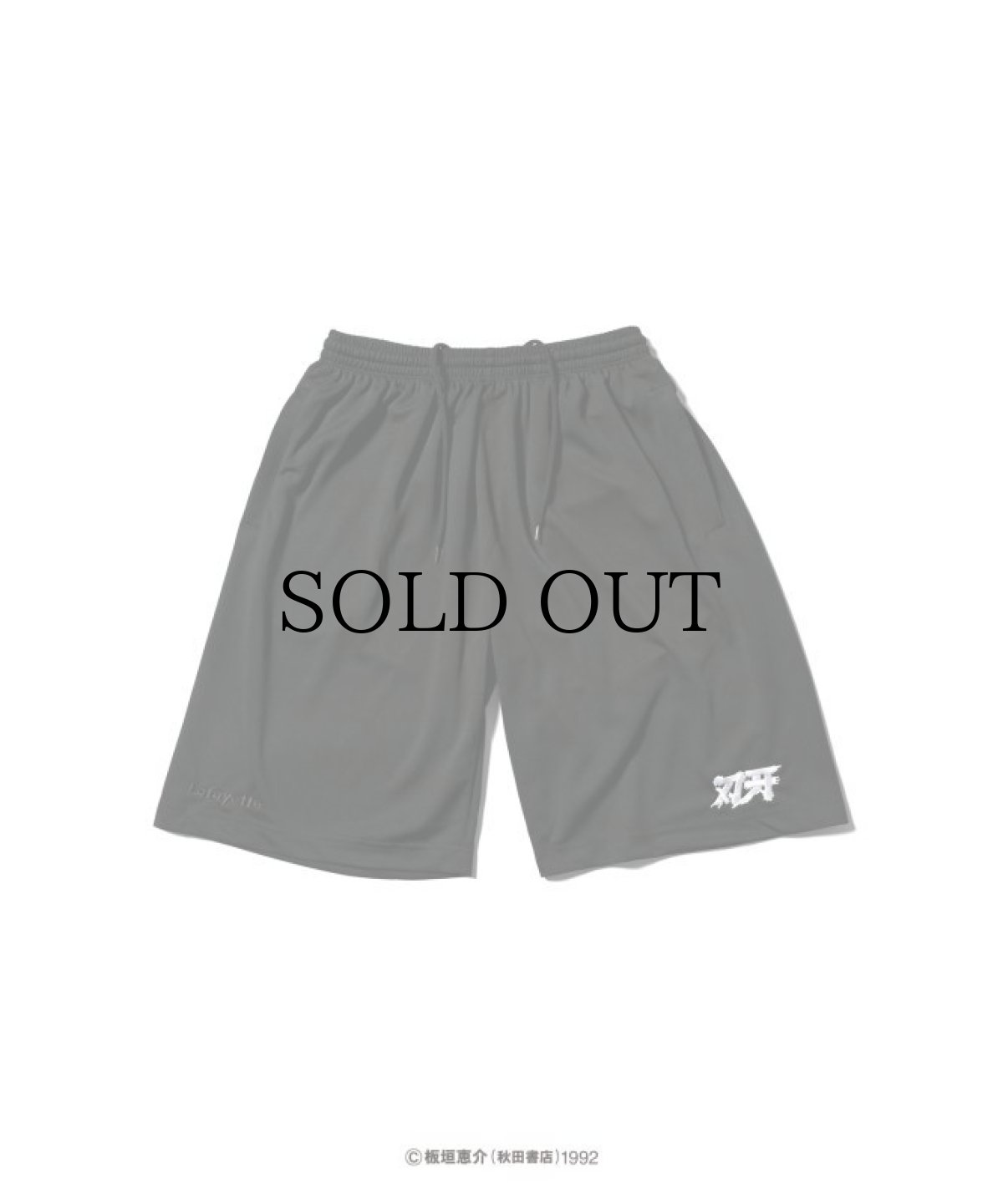 画像3: LFYT(ラファイエット) / 『LFYT × グラップラー刃牙』 MESH SHORTS (3)