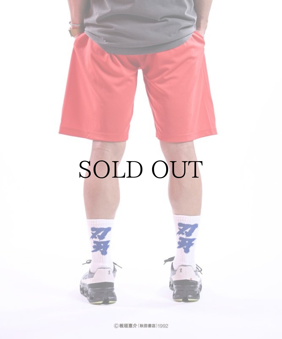 画像14: LFYT(ラファイエット) / 『LFYT × グラップラー刃牙』 MESH SHORTS (14)