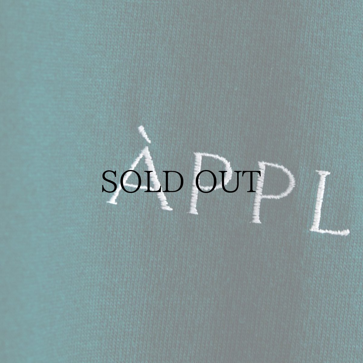 画像15: APPLEBUM(アップルバム) / "BONITA APPLEBUM 1500" BIG L/S T-SHIRT (15)