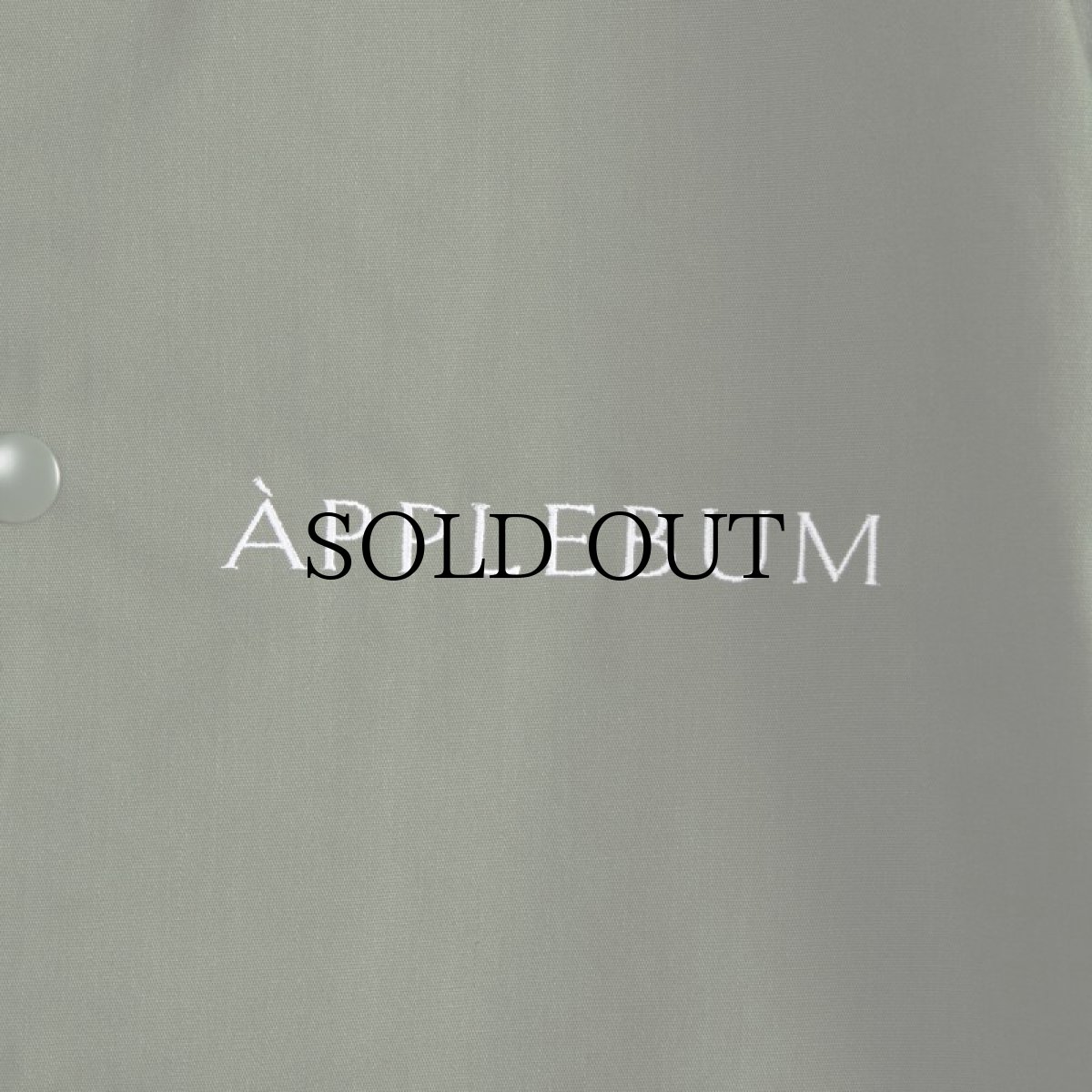 画像8: APPLEBUM(アップルバム) / “The Birth of Hero” Coach Jacket (8)